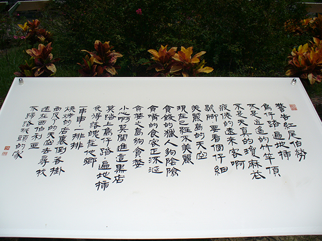 警告紅尾伯勞