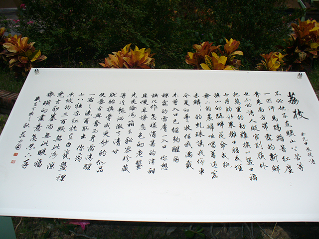 荔枝